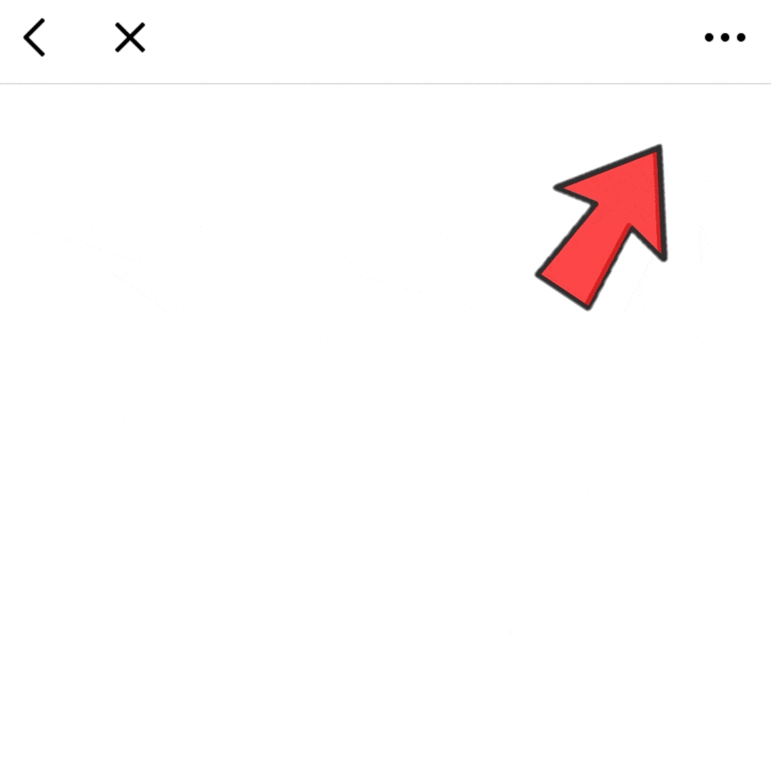 Im Browser öffnen Anleitung